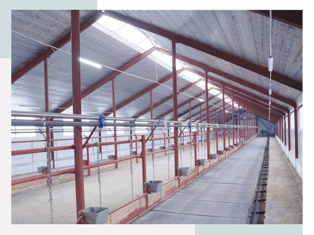 Строительство коровников в Химках от 622 руб.