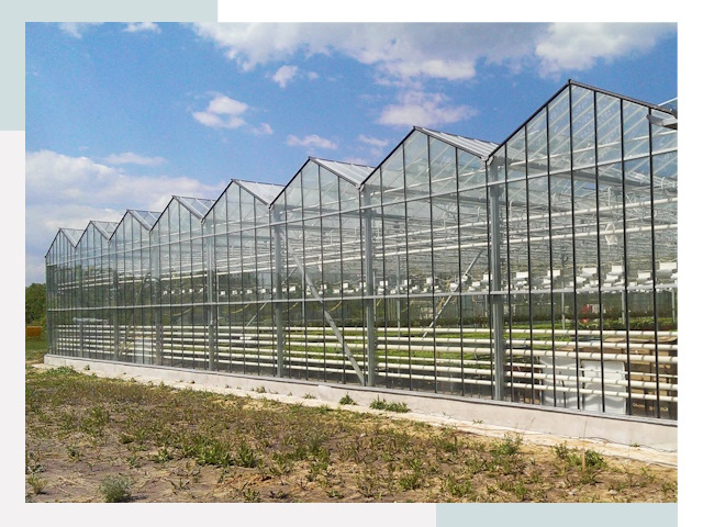 Строительство теплиц в Химки от 622 руб. за м²