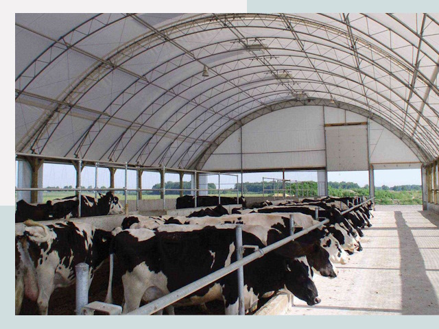 Тентовые коровники в Химках